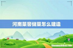 河南菜窖储菜怎么建造