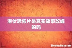 潜伏恐怖片是真实故事改编的吗