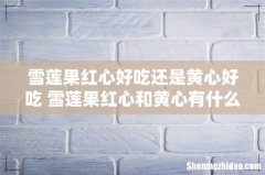 雪莲果红心好吃还是黄心好吃 雪莲果红心和黄心有什么区别