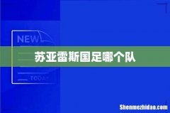 苏亚雷斯国足哪个队