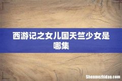 西游记之女儿国天竺少女是哪集