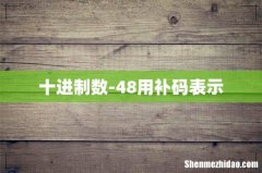 十进制数-48用补码表示