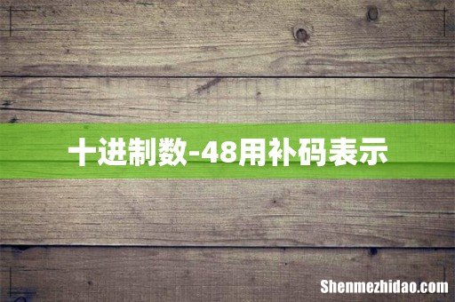 十进制数-48用补码表示