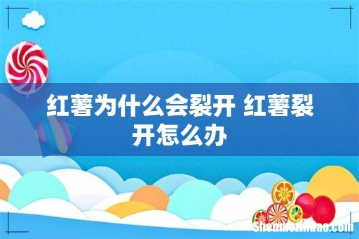红薯为什么会裂开 红薯裂开怎么办