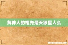 黄种人的祖先是天狼星人么