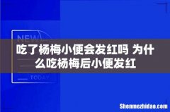 吃了杨梅小便会发红吗 为什么吃杨梅后小便发红