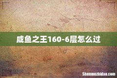 咸鱼之王160-6层怎么过
