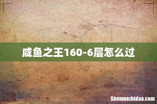 咸鱼之王160-6层怎么过