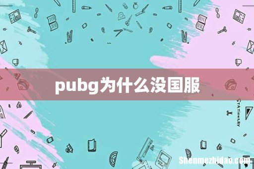 pubg为什么没国服
