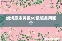 燃烧意志黄猿60级装备用哪个