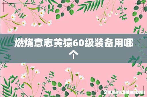 燃烧意志黄猿60级装备用哪个