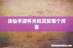 诛仙手游怀光和灵契哪个厉害