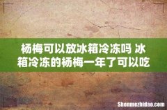 杨梅可以放冰箱冷冻吗 冰箱冷冻的杨梅一年了可以吃吗