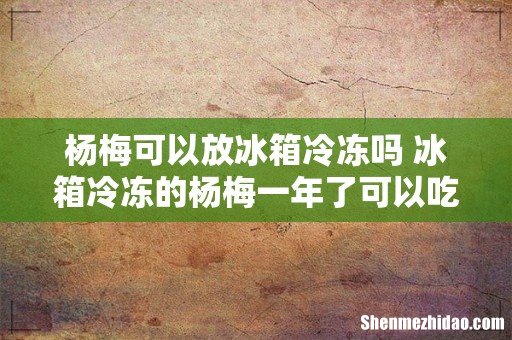 杨梅可以放冰箱冷冻吗 冰箱冷冻的杨梅一年了可以吃吗