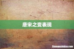 唐宋之变表现