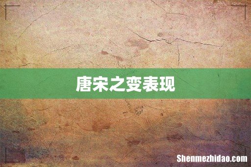 唐宋之变表现