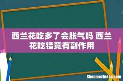 西兰花吃多了会胀气吗 西兰花吃错竟有副作用