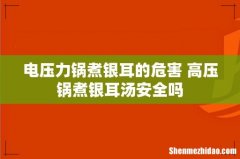 电压力锅煮银耳的危害 高压锅煮银耳汤安全吗