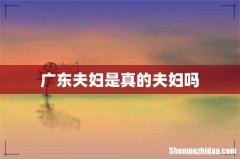 广东夫妇是真的夫妇吗