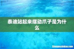 泰迪站起来摆动爪子是为什么