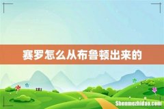赛罗怎么从布鲁顿出来的