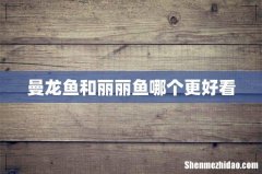 曼龙鱼和丽丽鱼哪个更好看