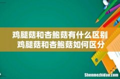 鸡腿菇和杏鲍菇有什么区别 鸡腿菇和杏鲍菇如何区分