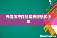 云南医疗保险需要缴纳多少年