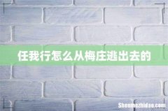 任我行怎么从梅庄逃出去的