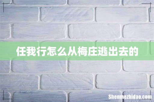 任我行怎么从梅庄逃出去的