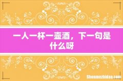 一人一杯一壶酒，下一句是什么呀