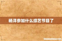 杨洋参加什么综艺节目了