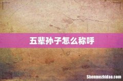 五辈孙子怎么称呼