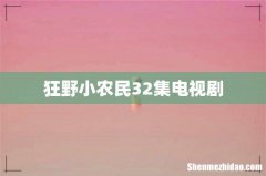 狂野小农民32集电视剧