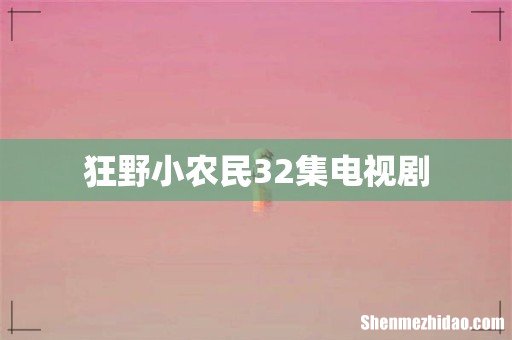 狂野小农民32集电视剧