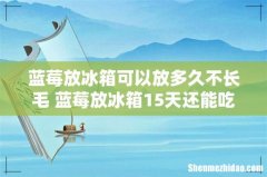 蓝莓放冰箱可以放多久不长毛 蓝莓放冰箱15天还能吃吗