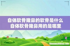 自体软骨隆鼻的软骨是什么 自体软骨隆鼻用的是哪里的软骨