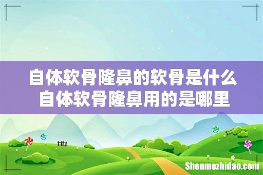 自体软骨隆鼻的软骨是什么 自体软骨隆鼻用的是哪里的软骨