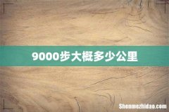 9000步大概多少公里