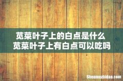 苋菜叶子上的白点是什么 苋菜叶子上有白点可以吃吗