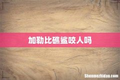 加勒比礁鲨咬人吗