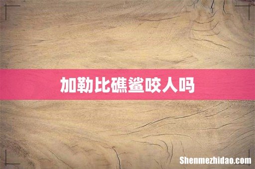 加勒比礁鲨咬人吗