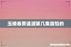 玉楼春贾逢源第几集露馅的