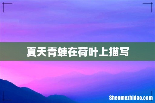 夏天青蛙在荷叶上描写