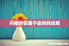 闪耀的你康子由妈妈结局