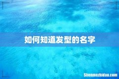 如何知道发型的名字