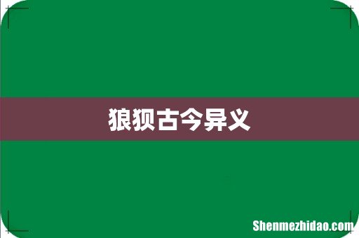 狼狈古今异义