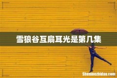 雪狼谷互扇耳光是第几集