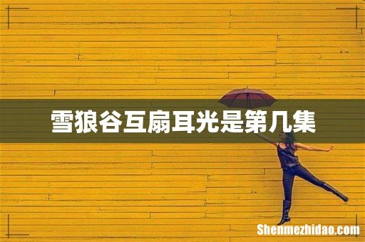 雪狼谷互扇耳光是第几集