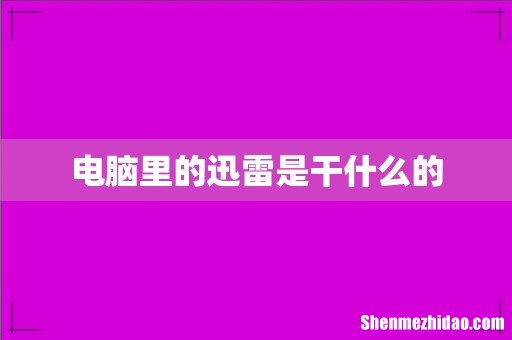 电脑里的迅雷是干什么的